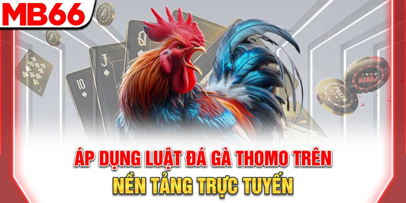 Luật Đá Gà Thomo Chi Tiết Cho Người Mới Cực Đơn Giản 11 Áp dụng luật đá gà Thomo trên nền tảng trực tuyến